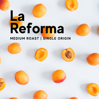 Guatemala La Reforma (Single Origin) medium roast coffee beans from wholesale supplier in Singapore